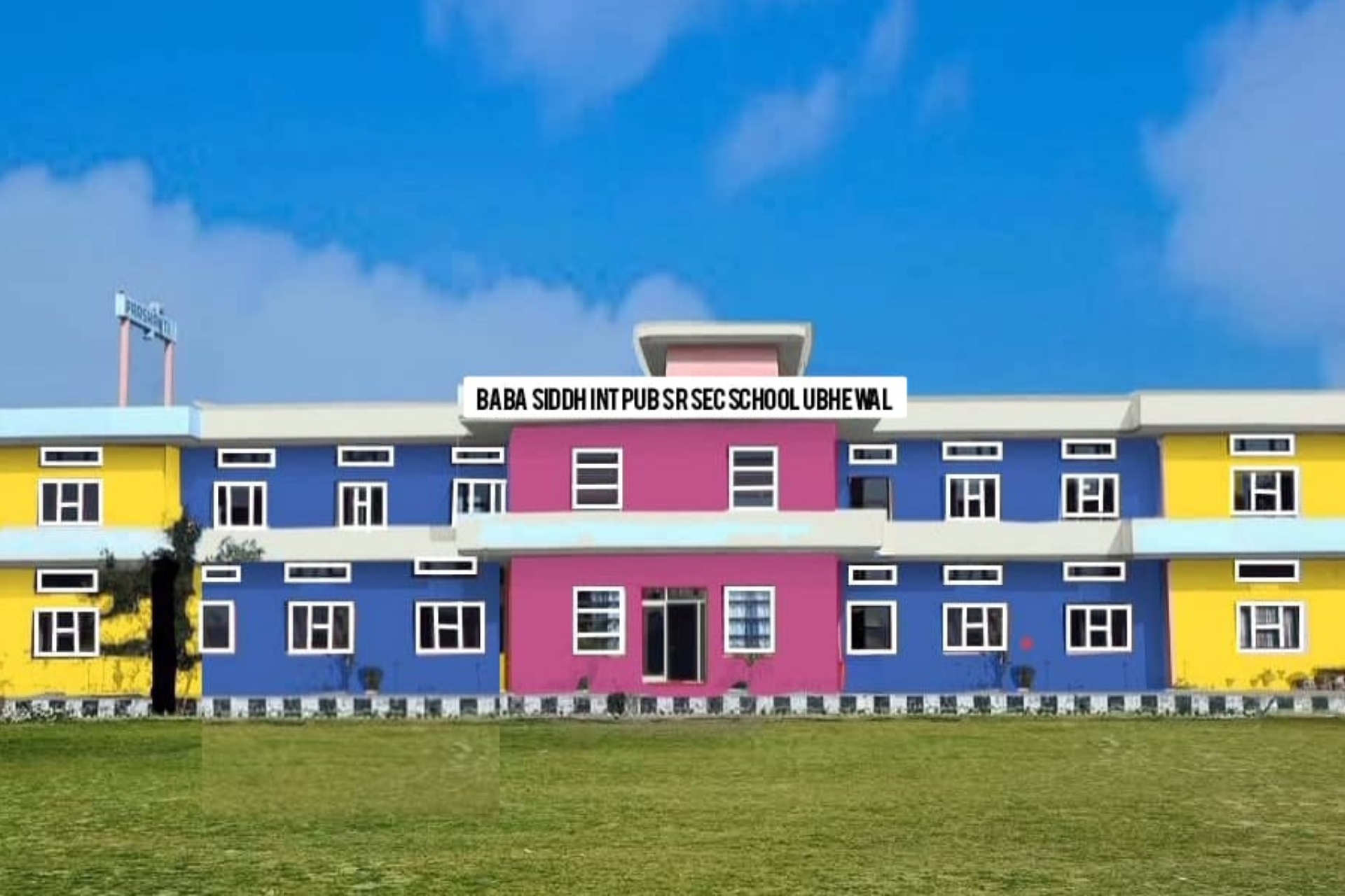 Education Background